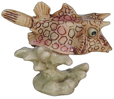 Cow Fish