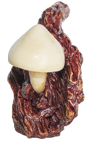 Shitake Mushroom