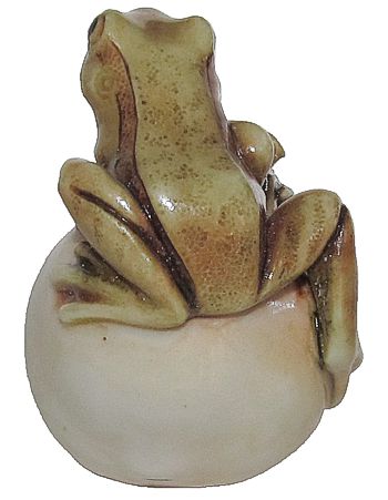 Frog On Tomato