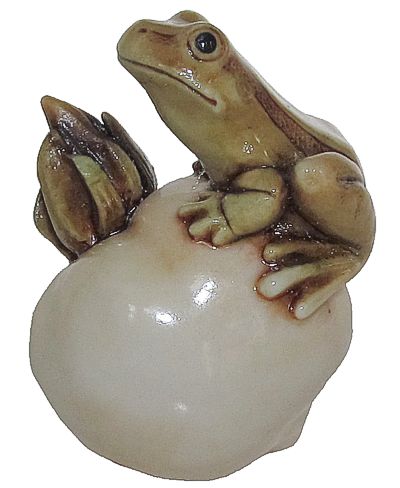 Frog On Tomato