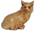 fw-cat