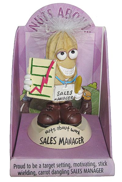 Sales Manager