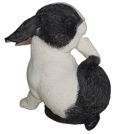 Rabbit With Raised Foot