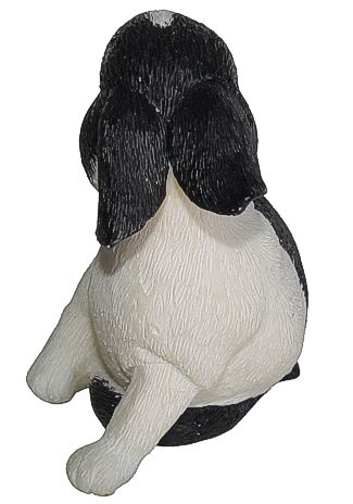 Rabbit With Raised Foot